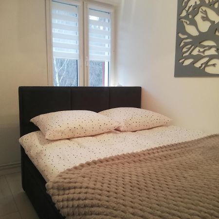 Apartament Stella ดุสนิกิ สดรอย ภายนอก รูปภาพ