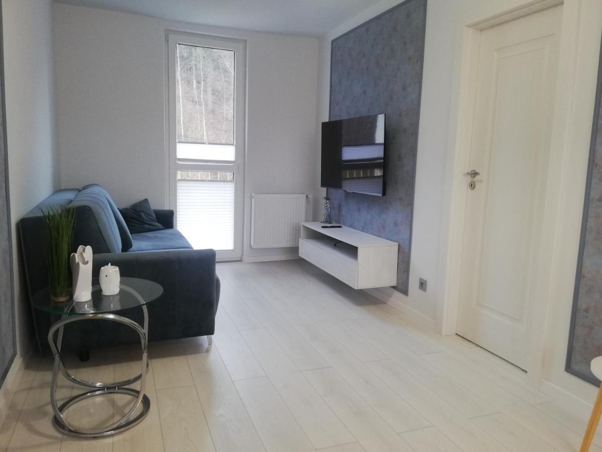 Apartament Stella ดุสนิกิ สดรอย ภายนอก รูปภาพ