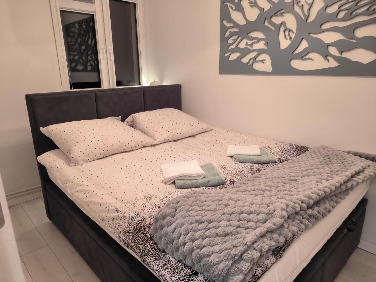 Apartament Stella ดุสนิกิ สดรอย ภายนอก รูปภาพ